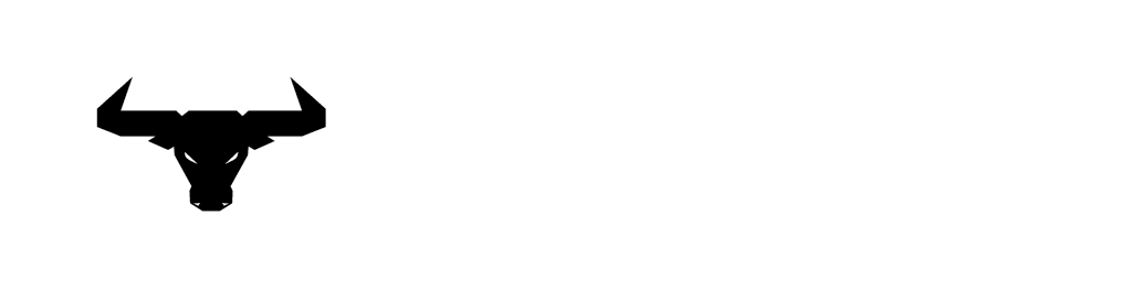 Silver Ox LLC
